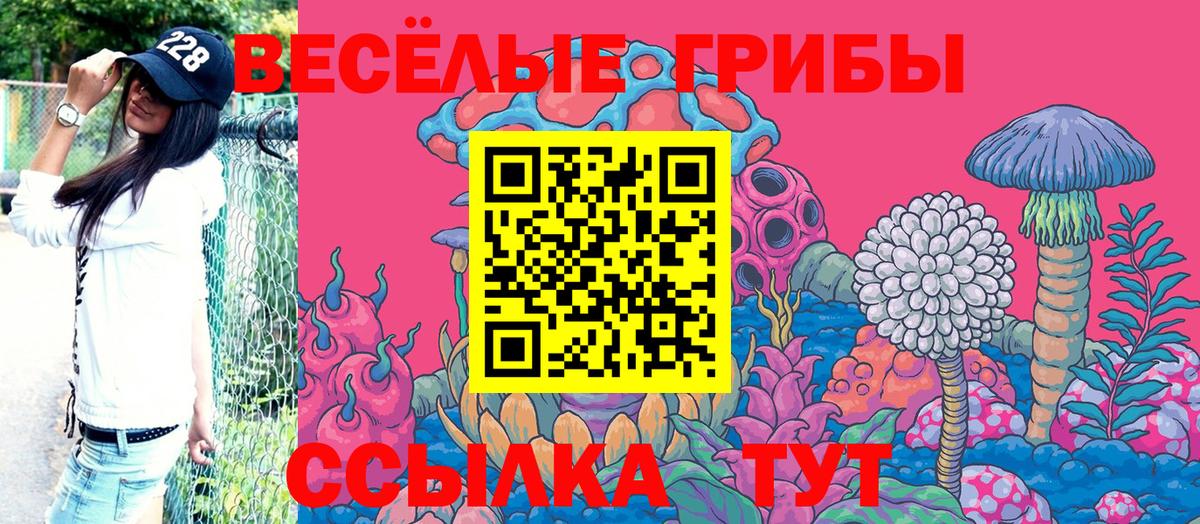 Галлюциногенные грибы прущие грибы Борзя